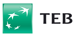 TEB ile giriş